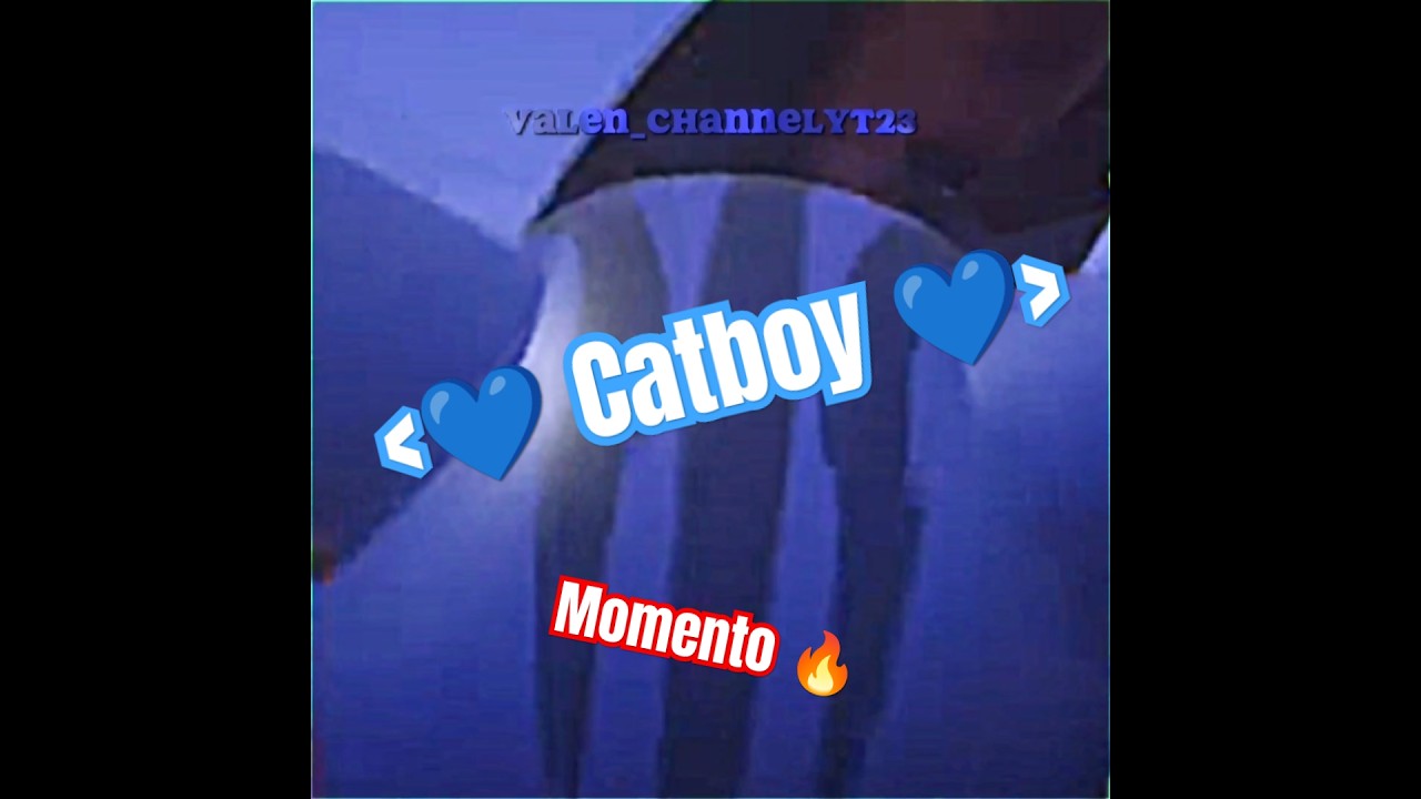 💙 Catboy 💙 - Momento 🔥 / 