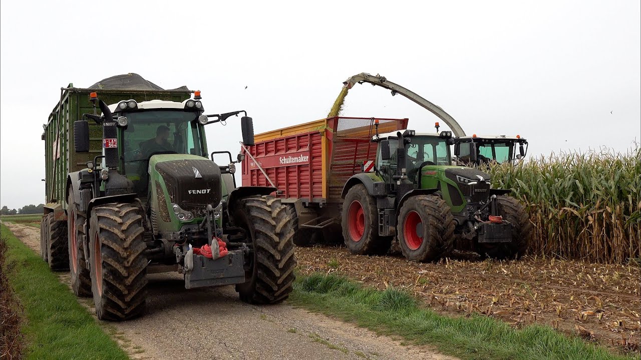 Mais 2025 : LU Steyns | Claas Jaguar 960 | 3 x Fendt 939 | Fendt 936 | Maisernte | corn harvest | 4K