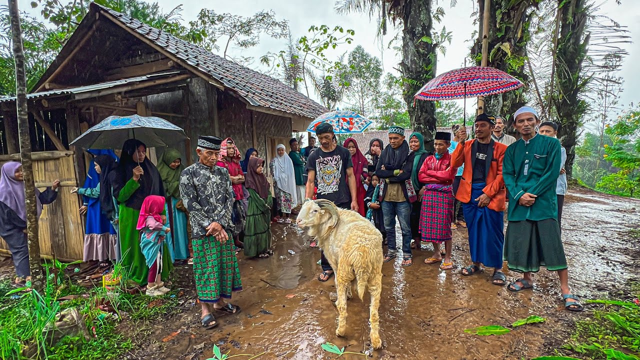 Hujan Turun Di Kampung Saat Lebaran, Senyum Ceria Ada Domba Kurban Dari Gubernur Jawa Barat