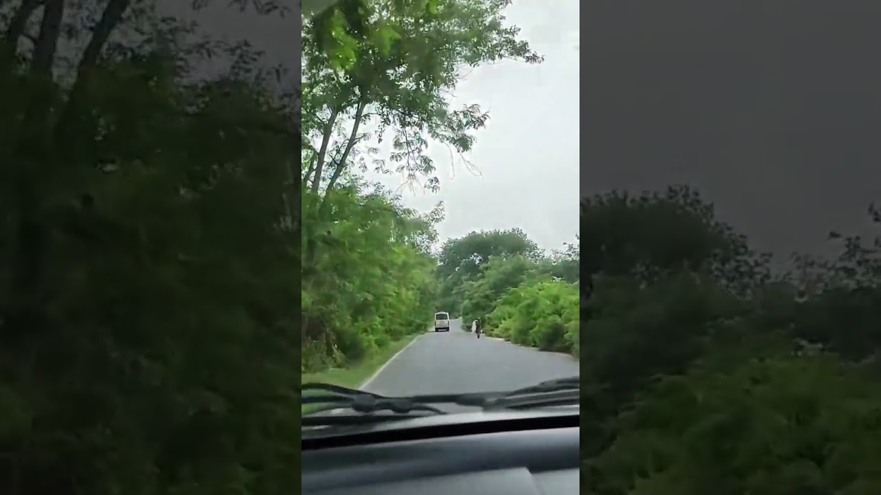 #Way To Rajgir 🌳🌳