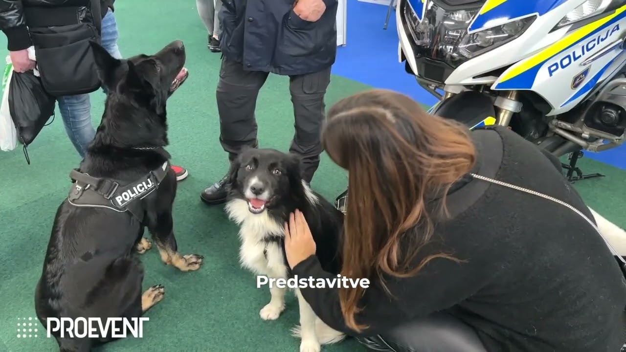 Informativa 2025 - napovednik