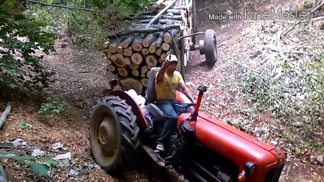 Ilic malo sladja malo zorka malo trupci i motorka