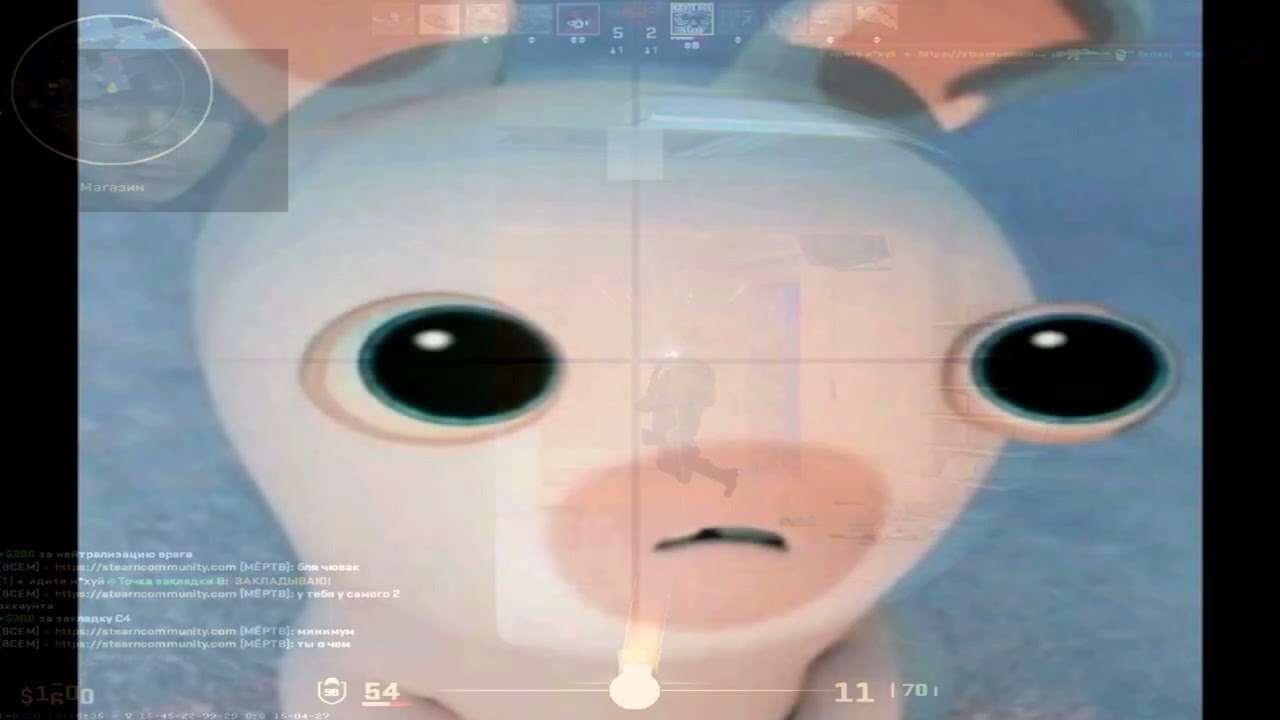 nuts mp4