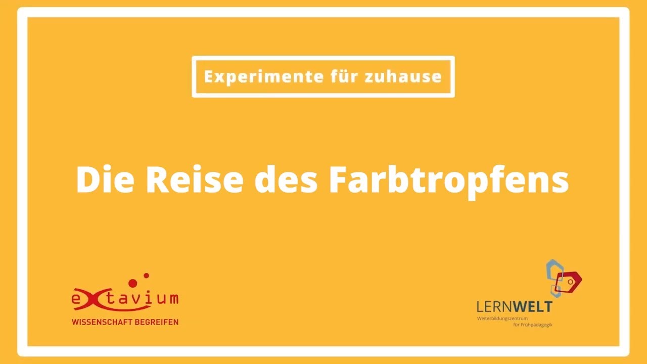 Die Reise des Farbtropfens - Experimente für zu Hause