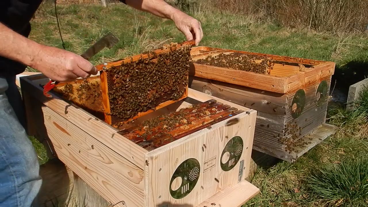 Honingbakken plaatsen en een nieuwe Topkast 3.0 in gebruik nemen
