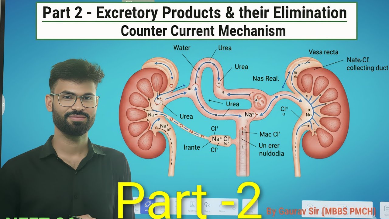 Part -2, Excretory products & their elemination, Urine formation,Counter current mech by GAURAV SIR 