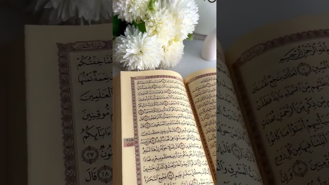 Quran #quran #quranbook #quranlife #qurantilawat