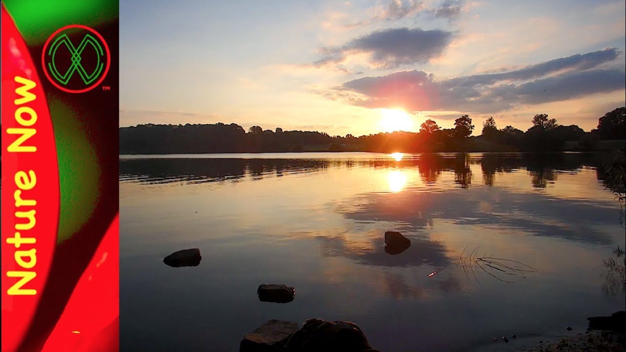 Nature Observation - August Review