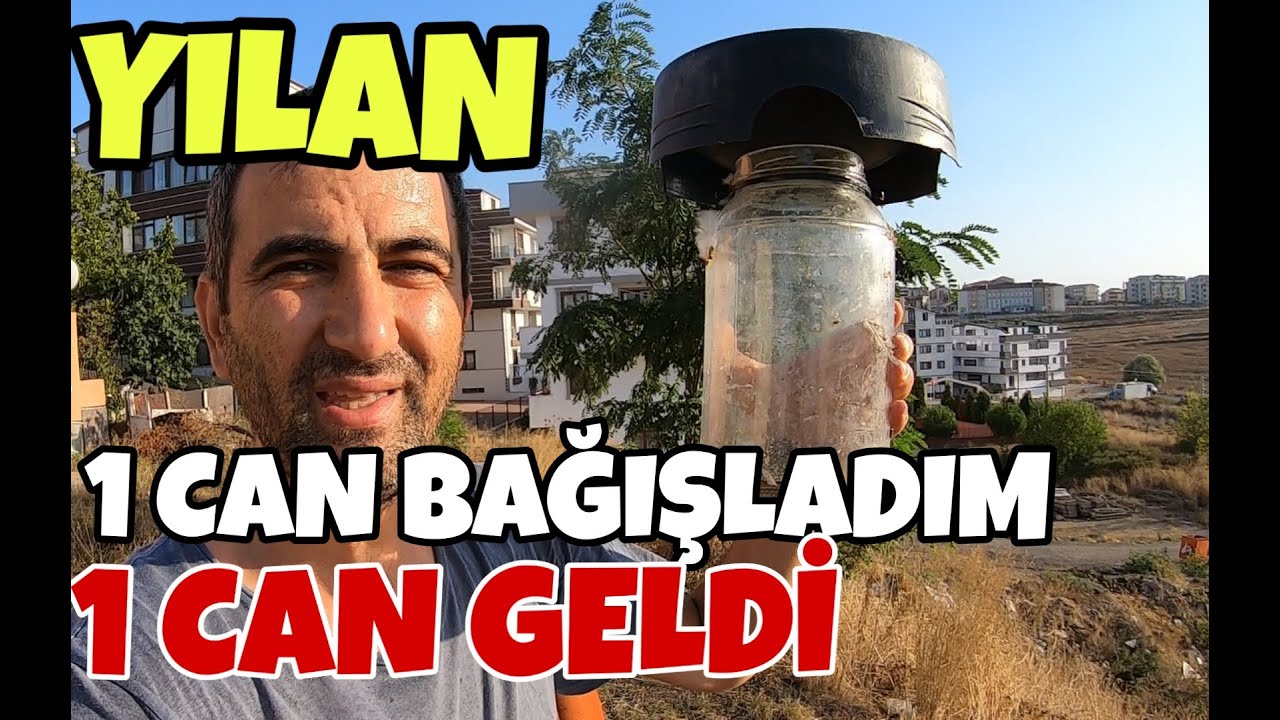 Kümese YILAN Girdi. Bir Can Bağışladım, Bir Can Geldi.