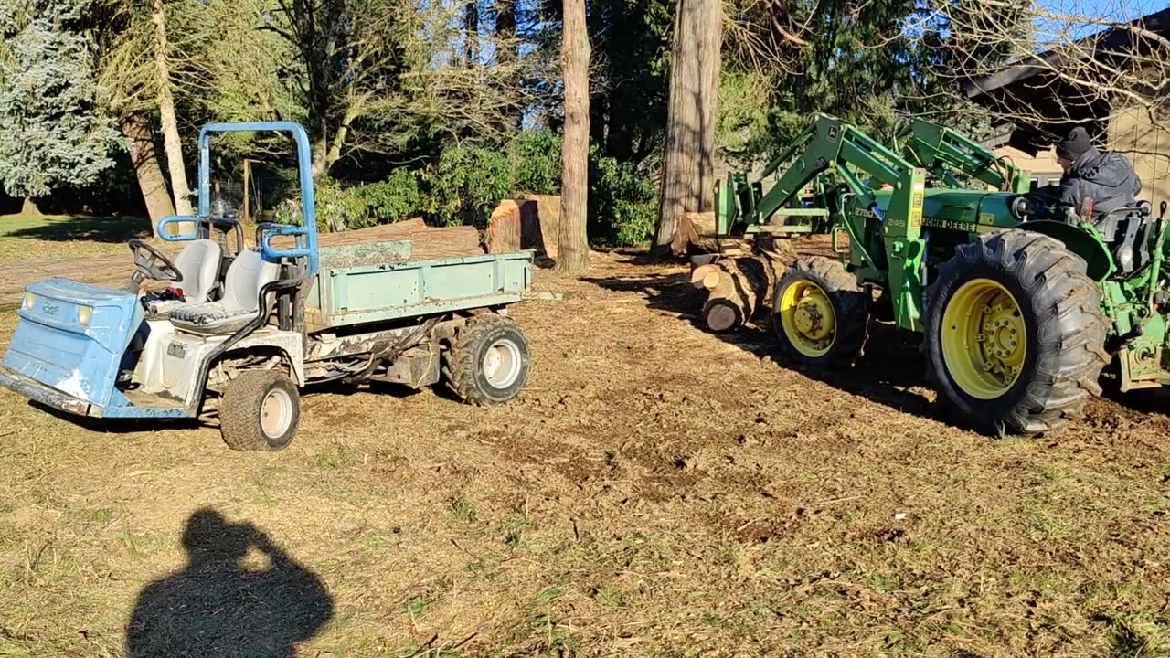Neighbor's Tree Removal Job