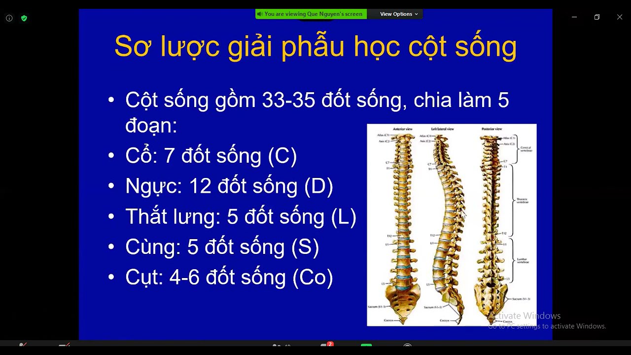 CLVT CỘT SỐNG VÀ MỘT SỐ BỆNH LÝ HAY GẶP | BS. NGUYỄN VĂN QUẾ