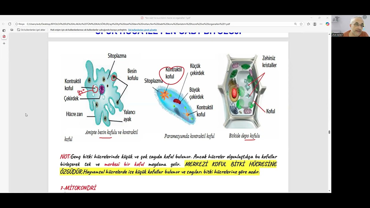 FEN ÖABT BİYOLOJİ HÜCRE VE ORGANELLERİ 3. VİDEO