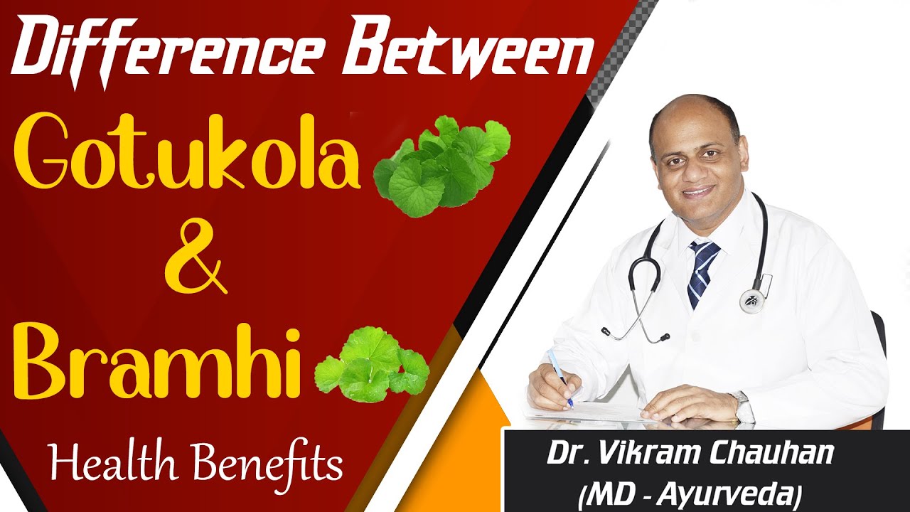 Difference Between Gotukola and Bramhi - Health Benefits