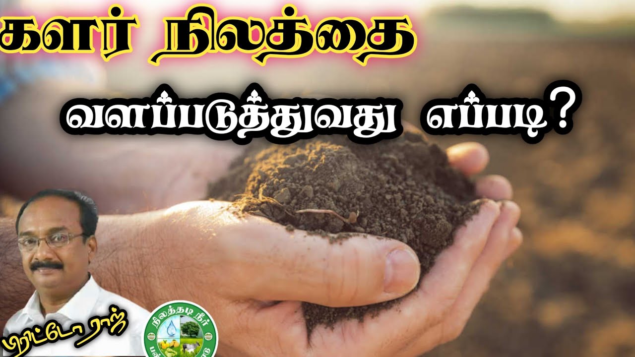 களர் நிலத்தை வளப்படுத்துவது எப்படி? பிரிட்டோராஜின் ஆலோசனைகள்.9944450552