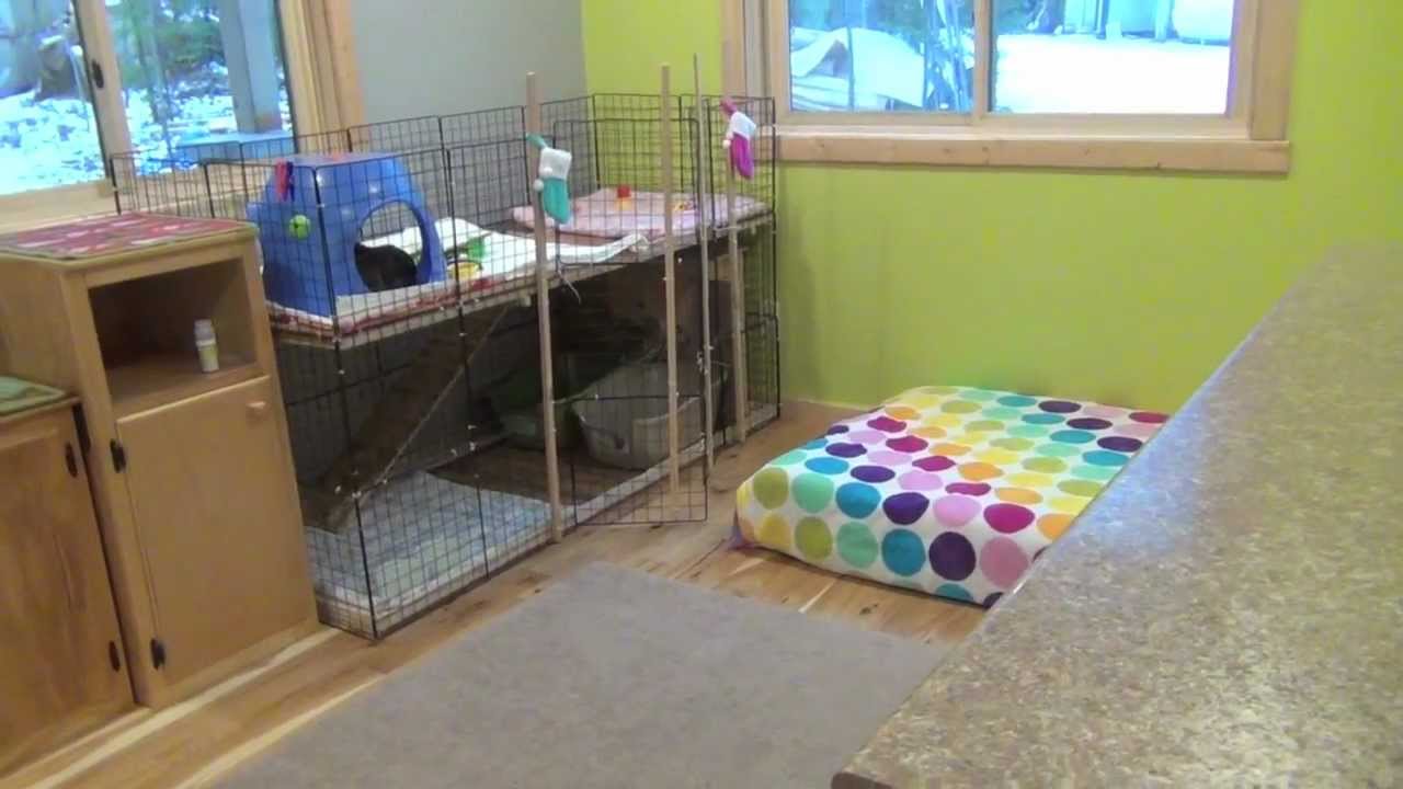 December Rabbit Cage Tour