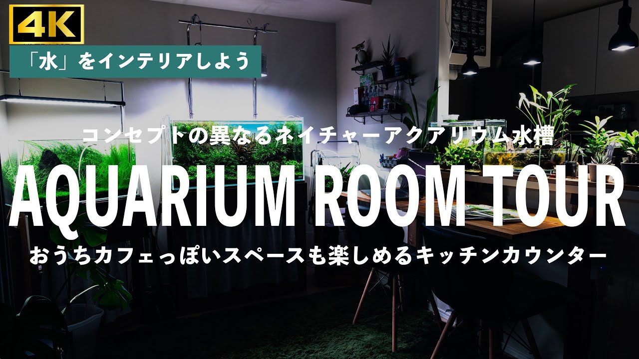 【ルームツアー】リビングの半分を水と緑でインテリア、我が家のアクアリウムスペースを一気に公開#aquarium #aquascape #ルームツアー #インテリア