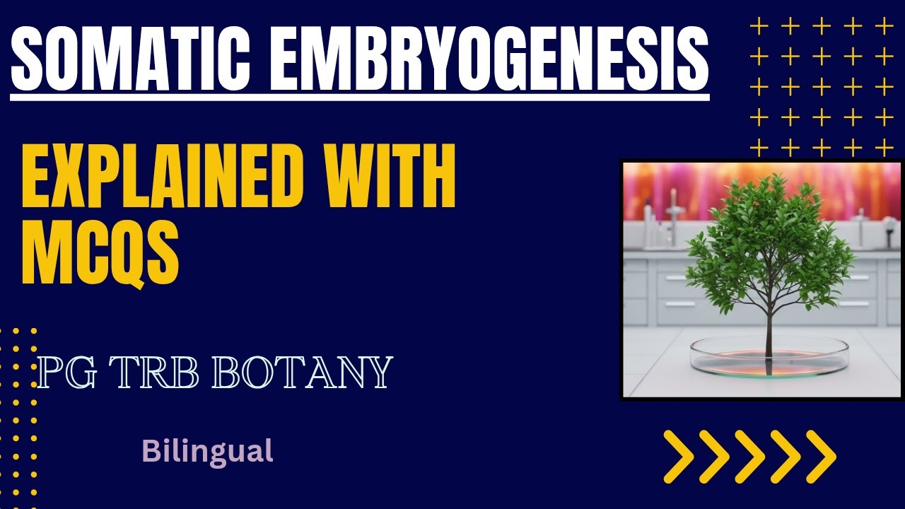 🌱Somatic Embryogenesis | Explained with MCQs| PG TRB, CSIR NET & Biotechnology