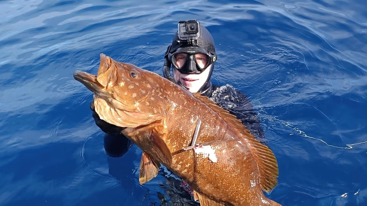Spearfishing Madeira 2025