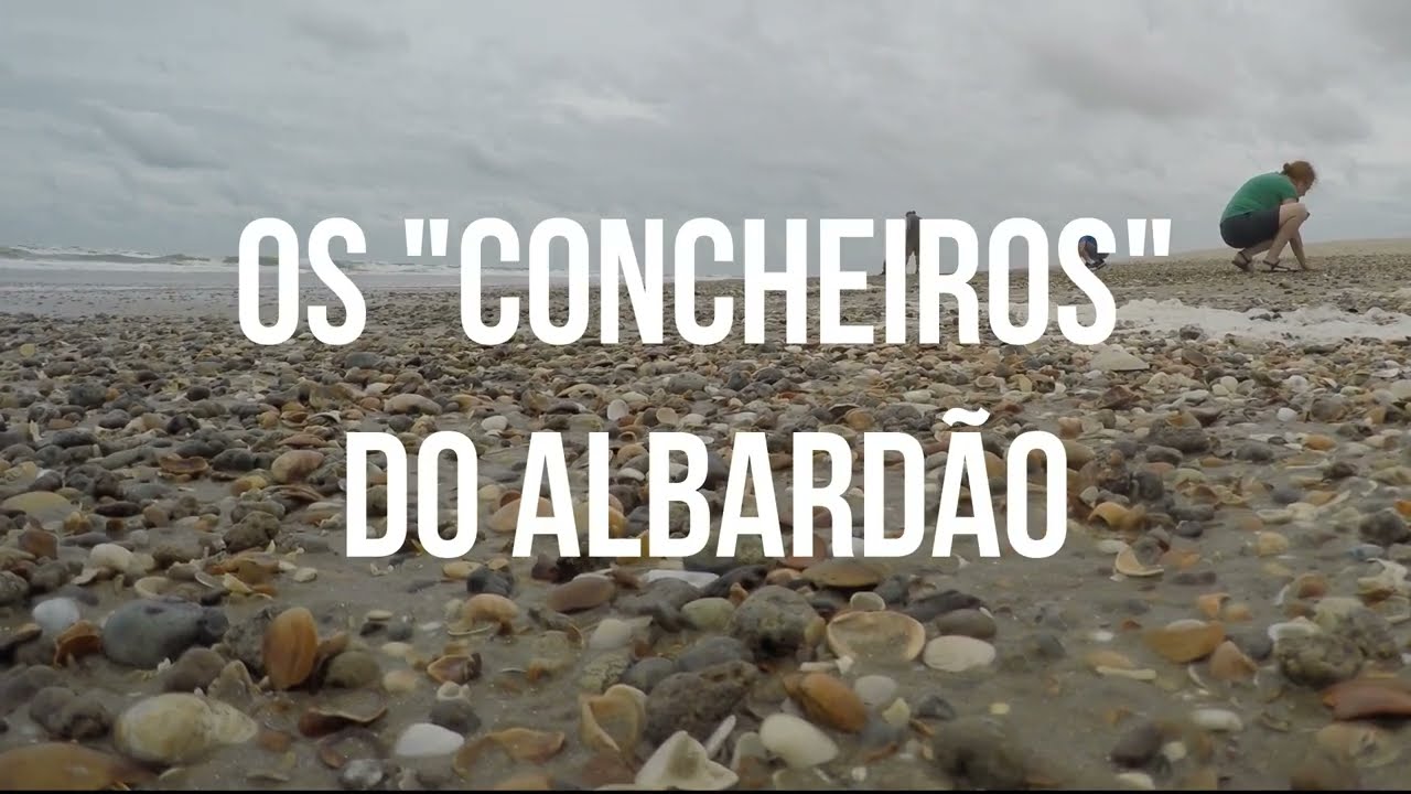 O que são os 