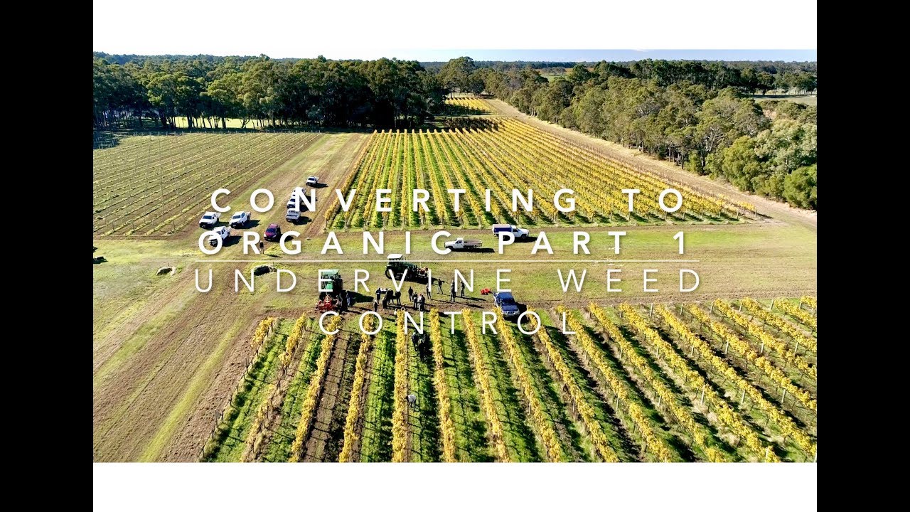 CONVERTING TO ORGANIC - PART 1