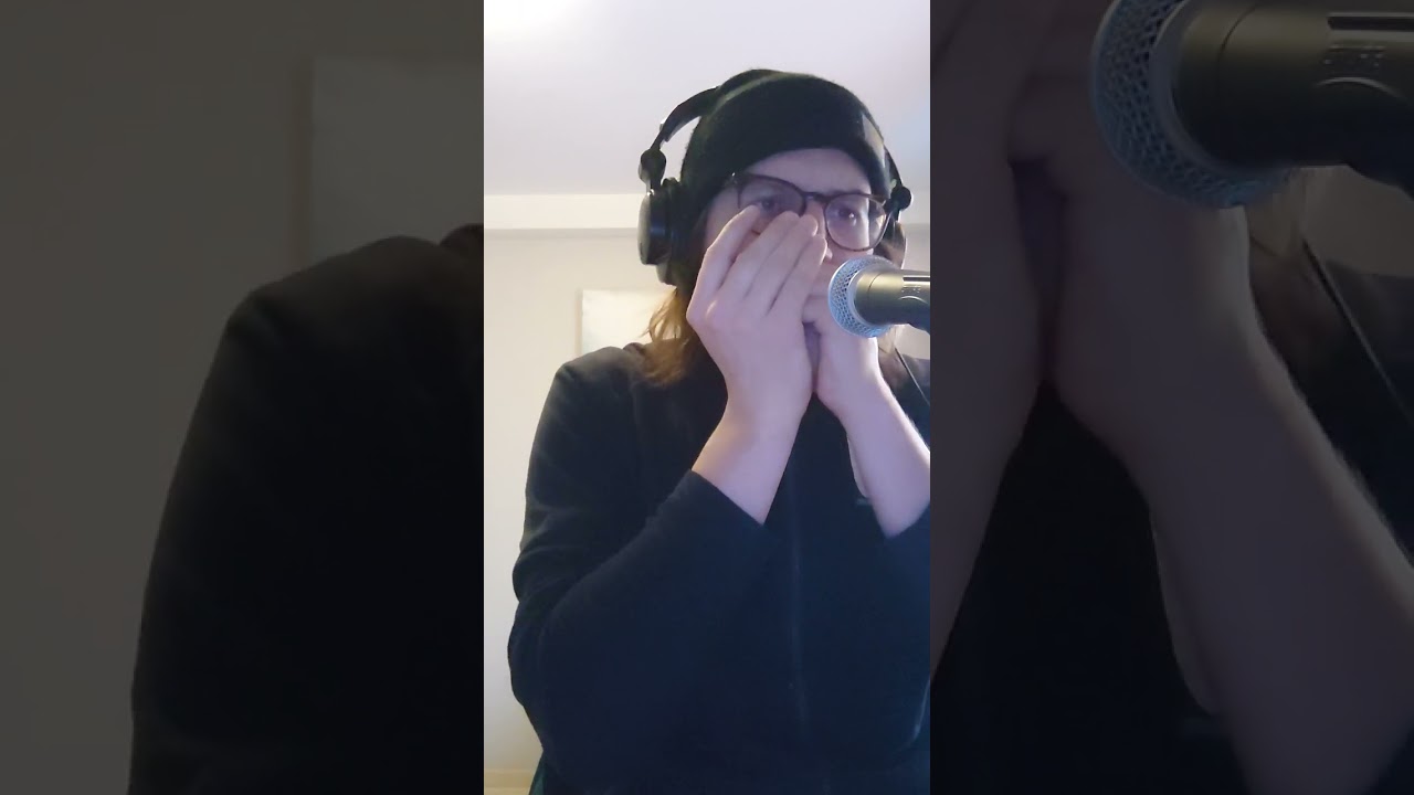 Walter's Boogie (Big Walter Horton) - Harmonica cover