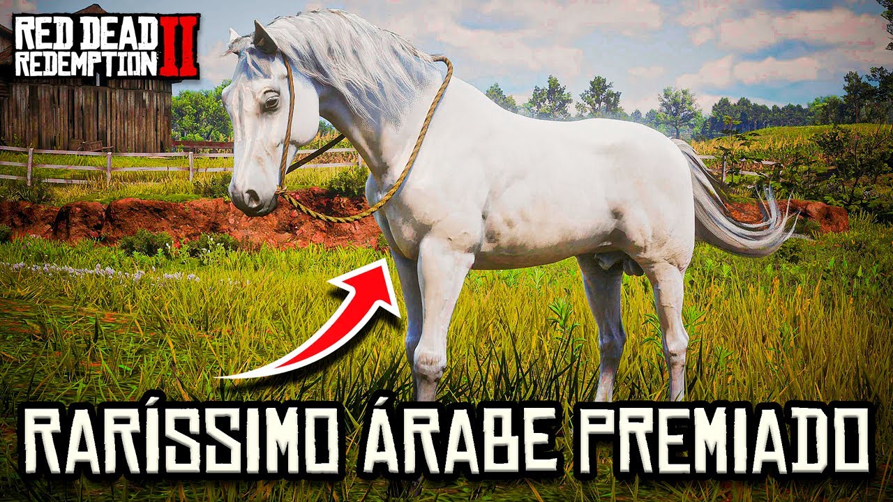 GLITCH DO ÁRABE BRANCO (MACHO) EM BIFE A CAVALO - RED DEAD REDEMPTION 2
