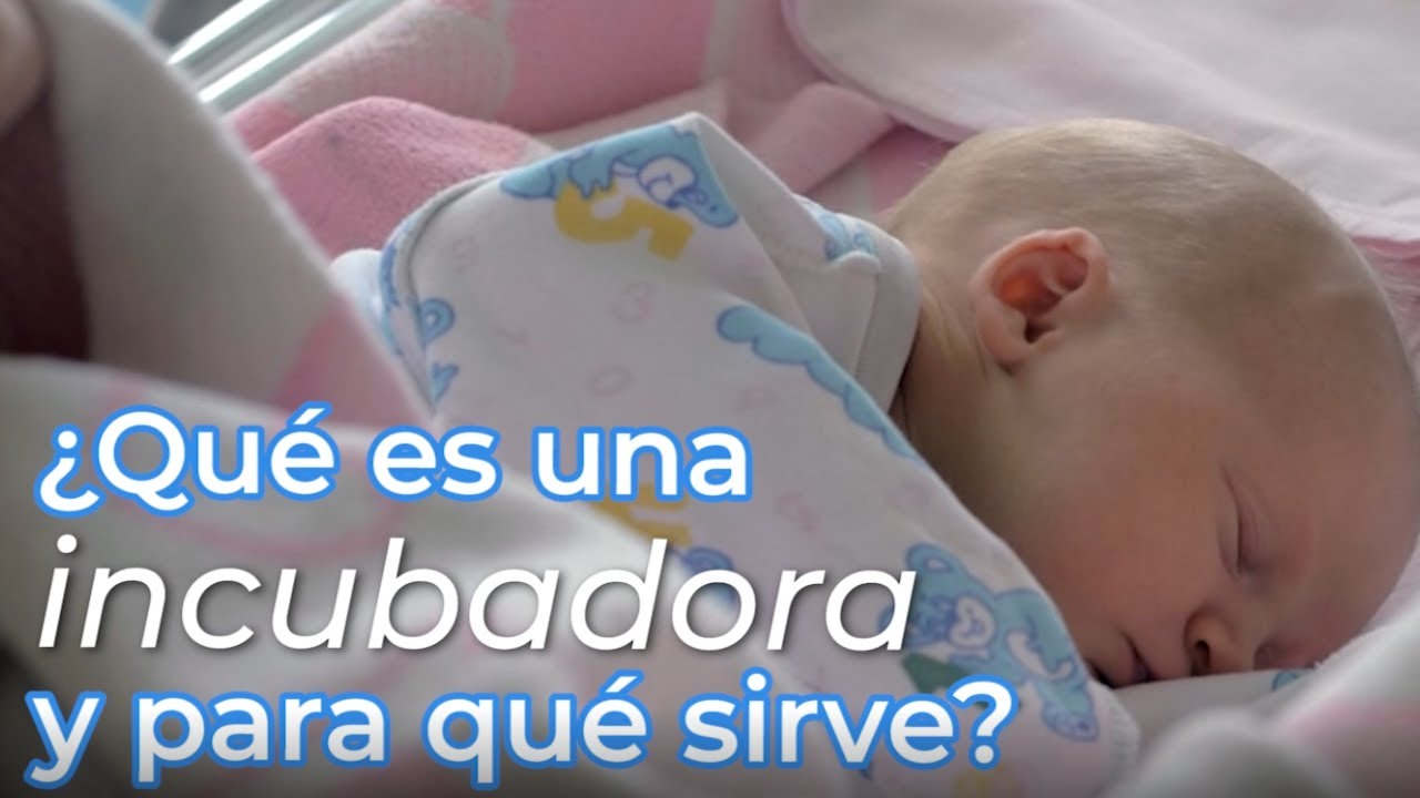 Qué es una incubadora y para qué sirve