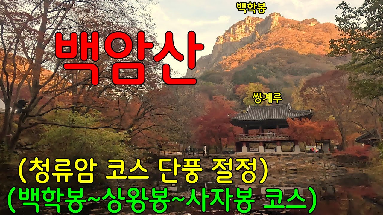 내장산국립공원 백암산ㅣ쌍계루 풍경ㅣ백학봉 오름 1670개 계단 후덜덜~ㅣ바닷가 차박_일출