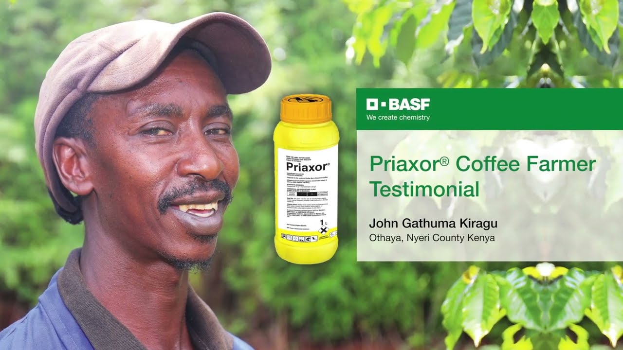 Priaxor®: Kenya Coffee Farmer Testimonial