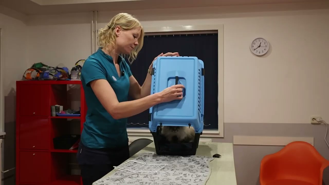 Met je kat naar de kliniek