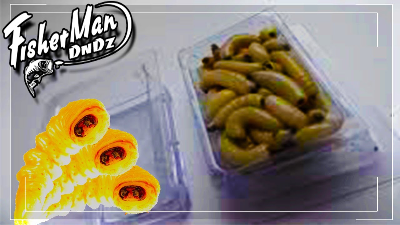 ОПАРЫШ ЗА 5 МИНУТ В ДОМАШНИХ И ПОЛЕВЫХ УСЛОВИЯХ | КАК СДЕЛАТЬ БЫСТРО ОПАРЫШЕЙ ДЛЯ РЫБАЛКИ ?