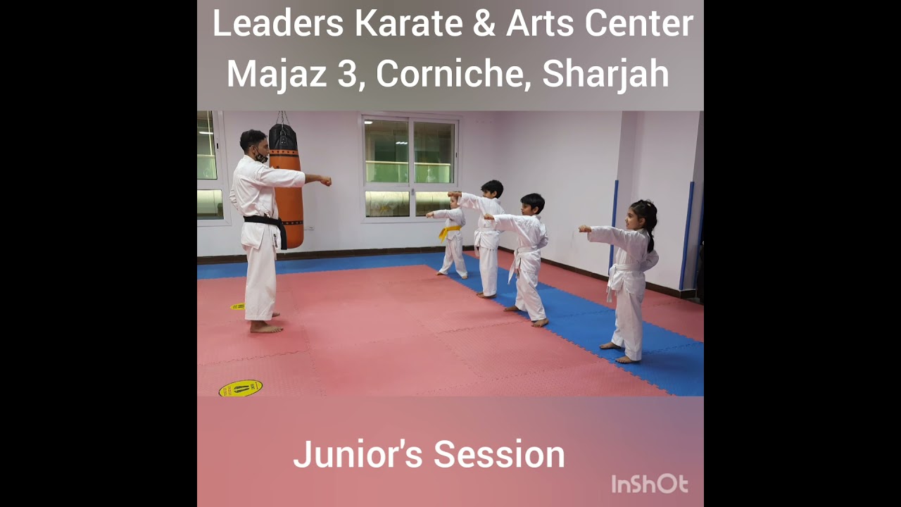 kids karate lessons