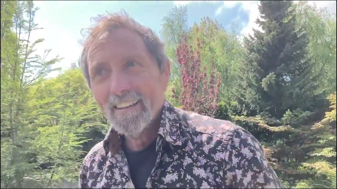 Planting Perennials in May