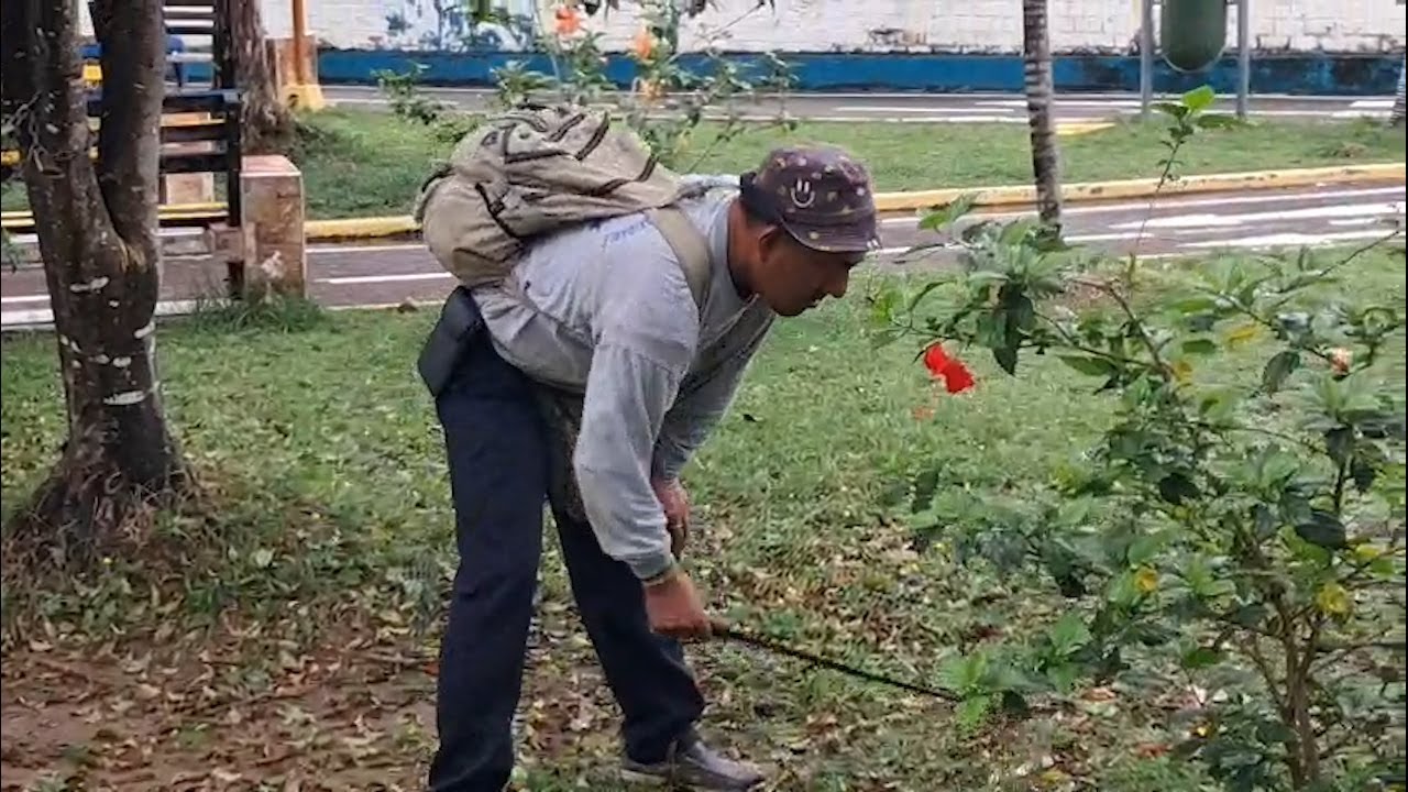 Trabajadores de parques y jardines anuncian paralización por falta de pago
