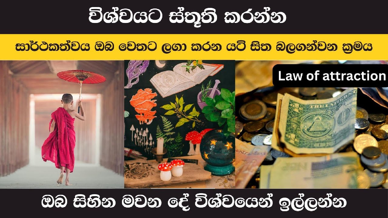 විශ්වයේ ආකර්ෂණ ශක්තිය ලබා ගැනීමට ඔබේ යටි සිත හසුරවන්න ඉගෙන ගන්න - විශ්ව ශක්තිය - Law Of Attraction