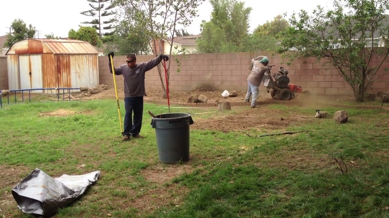 Jun 2013   Tree Removal 9