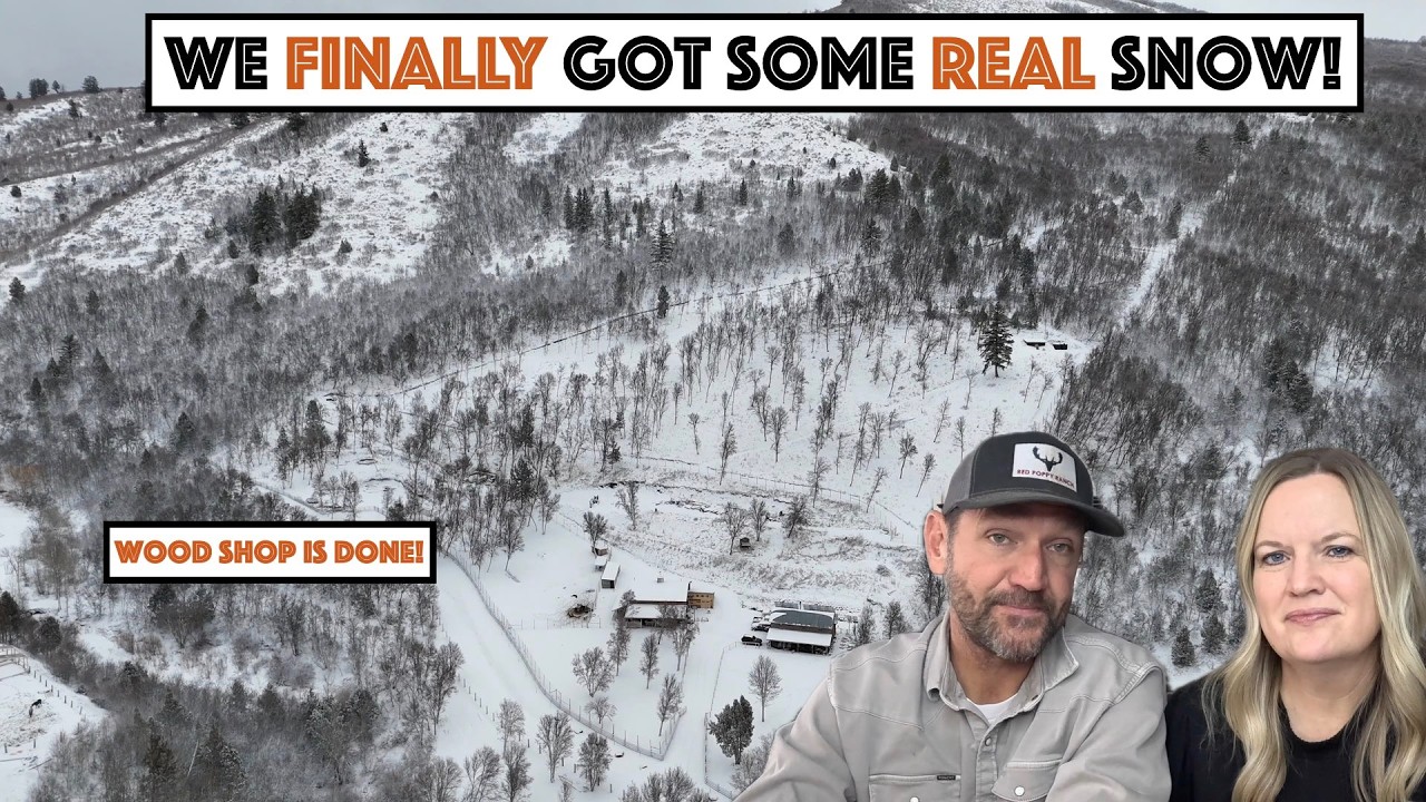 #854 - First Real Snow Of Winter! Off Grid Wood Shop Exterior Is DONE! Cabin Pad Continued...