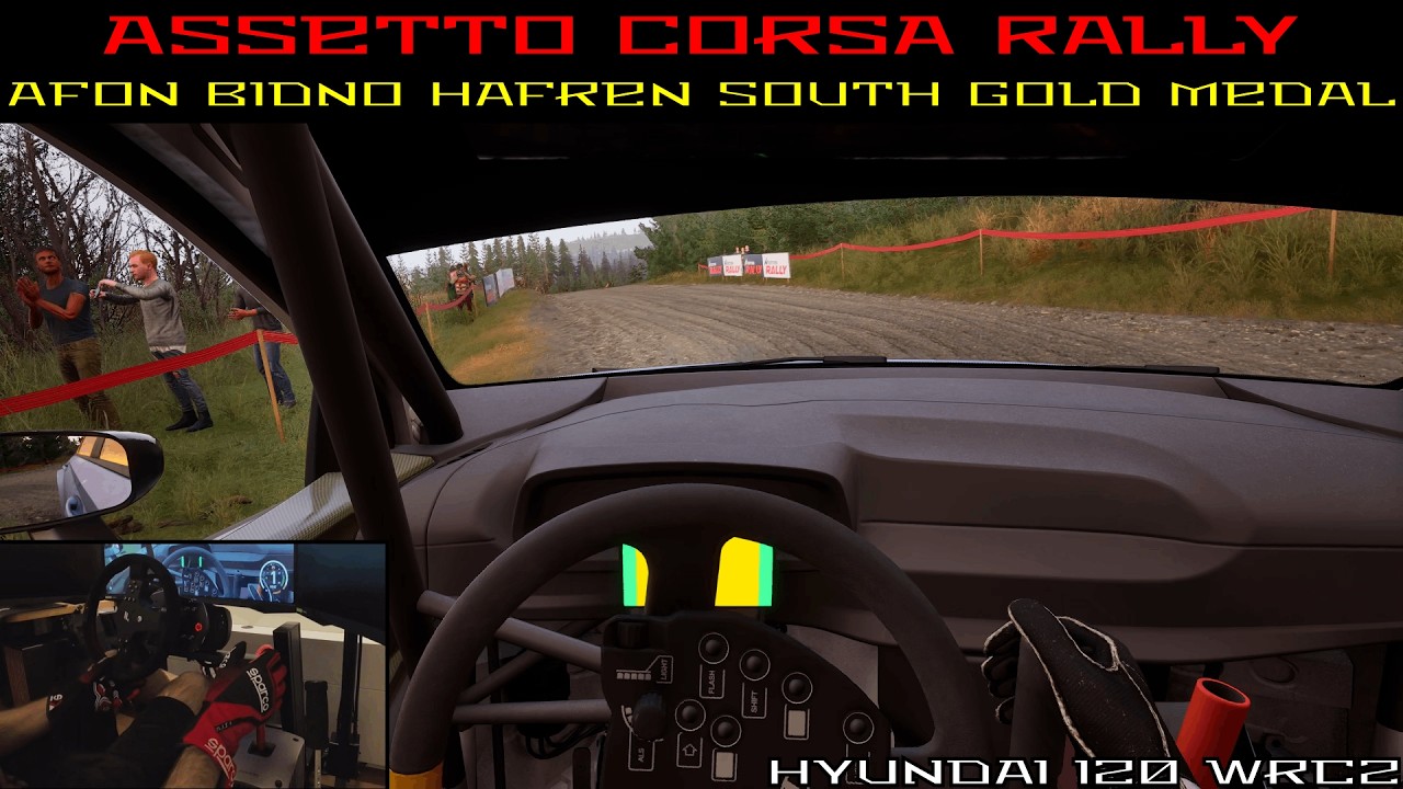 ASSETTO CORSA RALLY | Forest rallying in Hyundai i20 WRC2 | Afon Bidno Hafren South Gold Medal