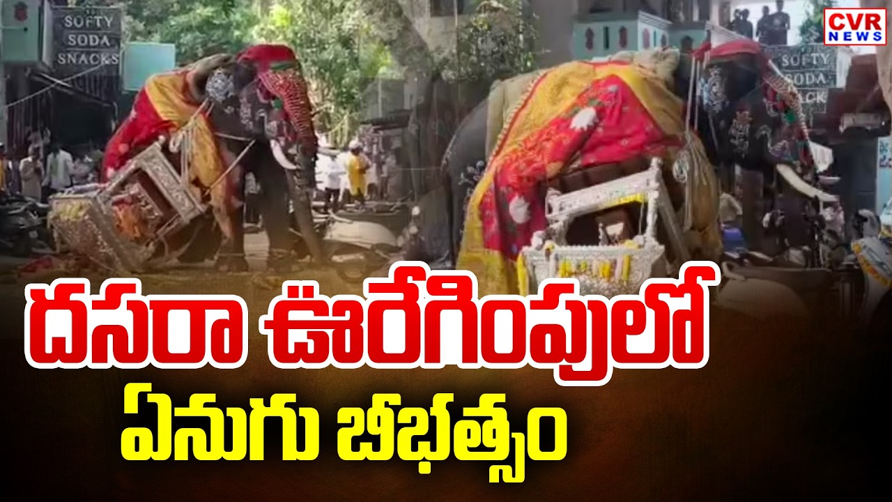 Elephant Runs In Dussehra Celebration In Karnataka Shivamogga | CVR News