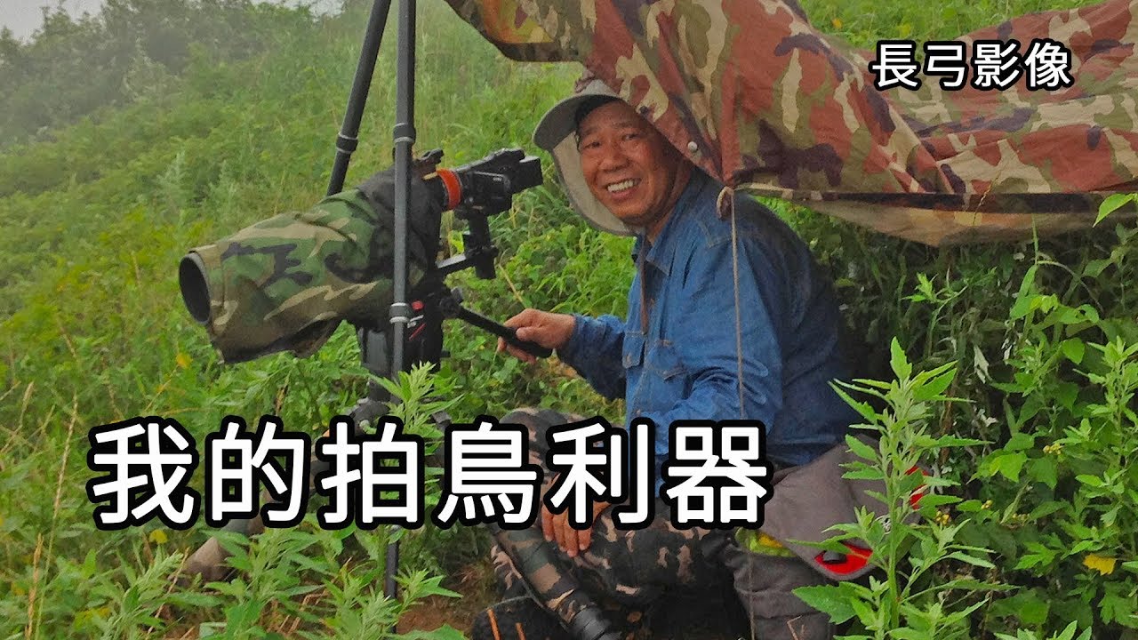 我的拍鳥利器(長弓影像)