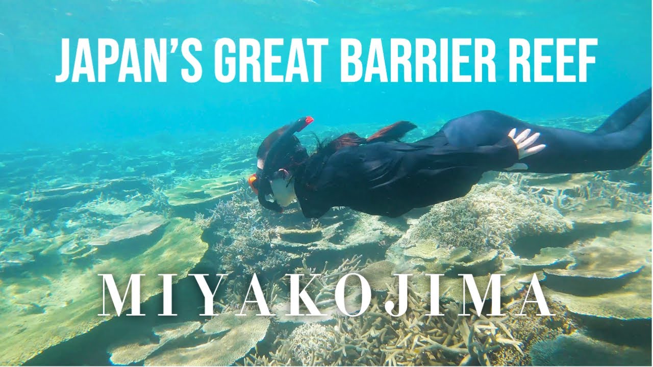 Japan's Most Beautiful Snorkeling Spot | Yabiji Coral Reef | Miyakojima Vlog Part 3