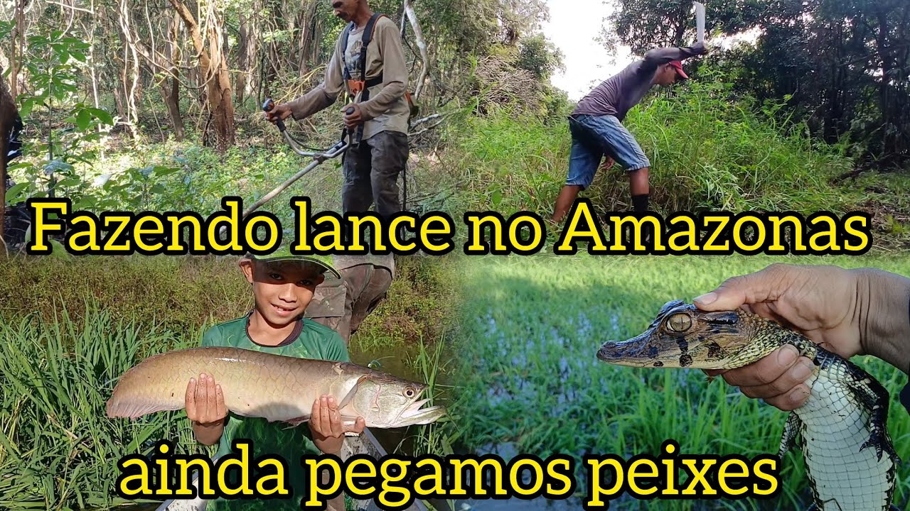 pescamos e fizemos lançe no Amazonas ainda saiu o frito