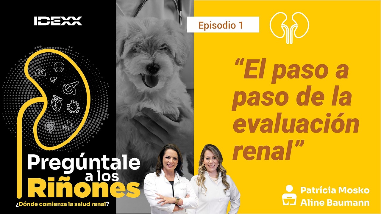 🟡 EL PASO A PASO DE LA EVALUACIÓN RENAL | “Pregúntale a los Riñones
