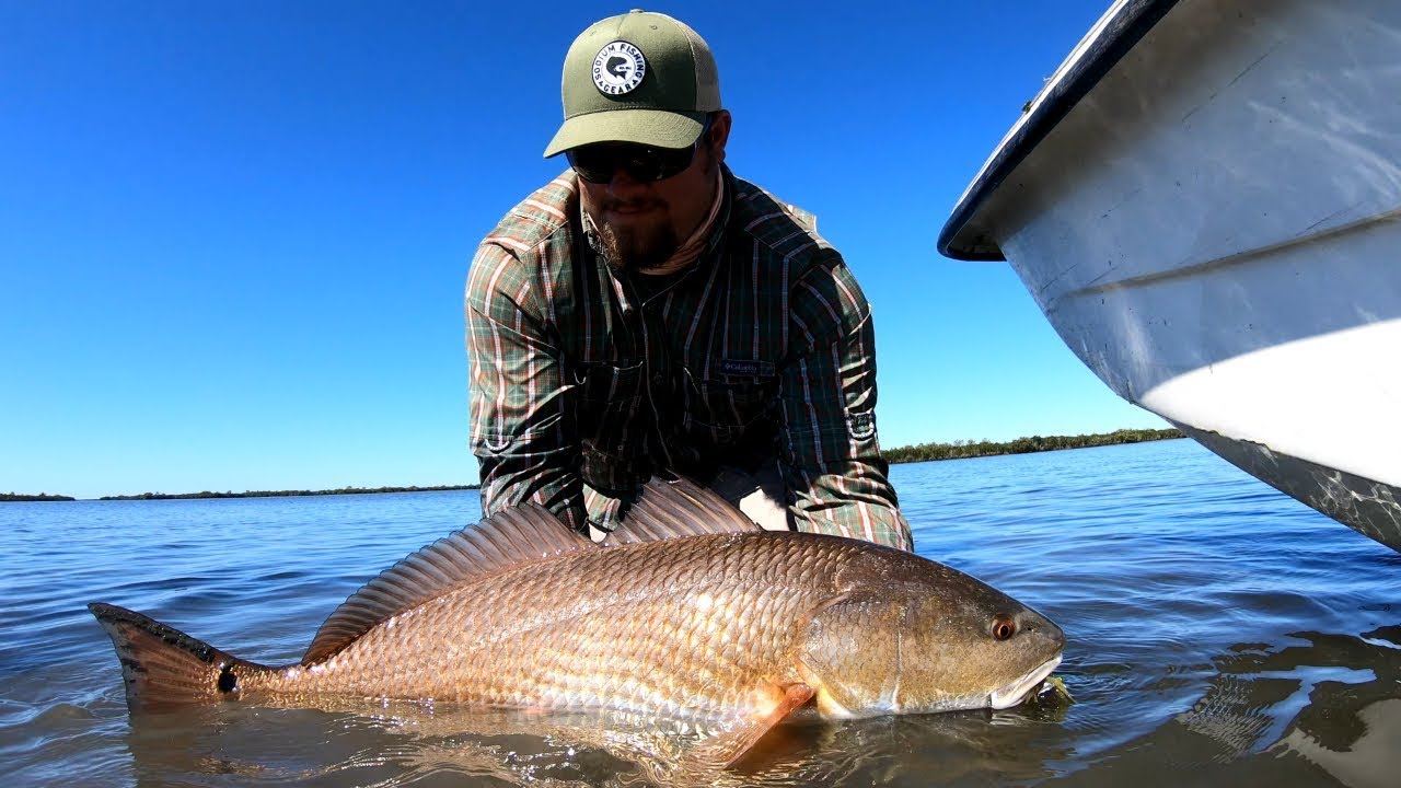 Vudu Shrimp -Catching Big Florida Redfish