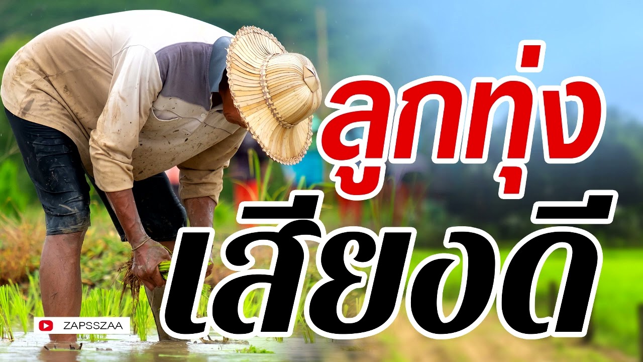 เพลงลูกทุ่งเสียงดี ฟังสบายๆเพราะๆ