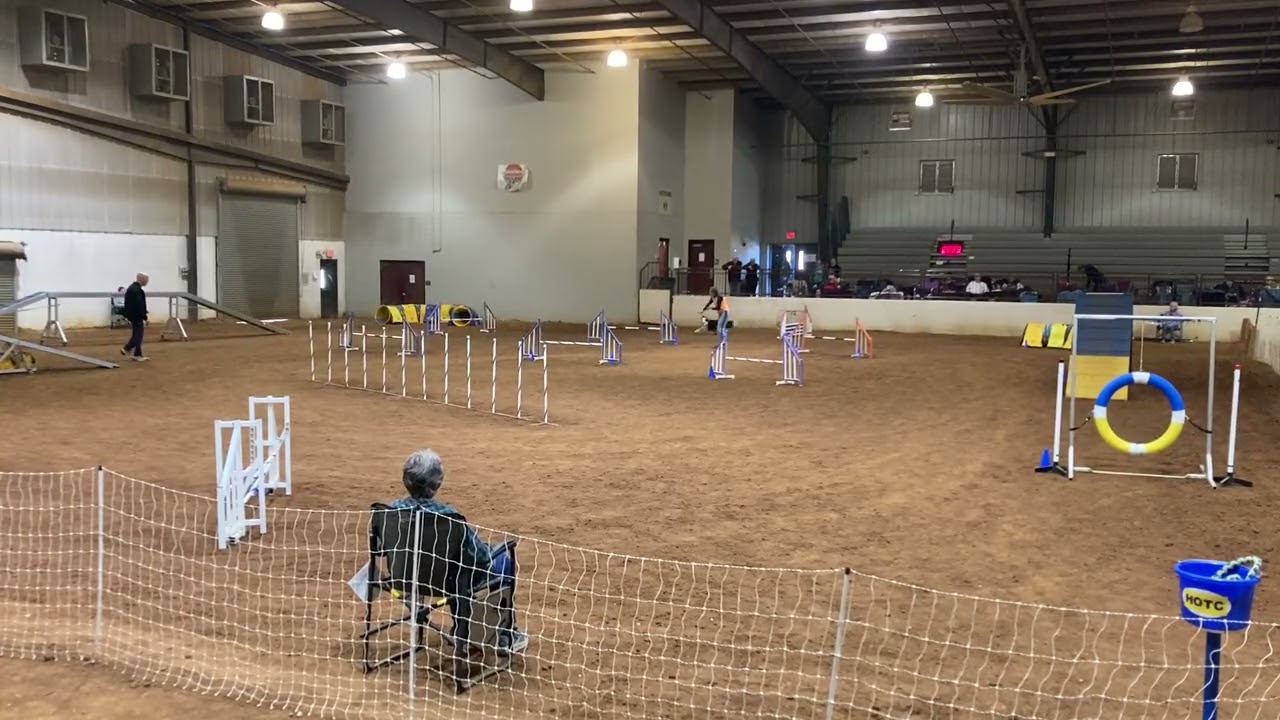Bailey's AKC Master's Standard 
