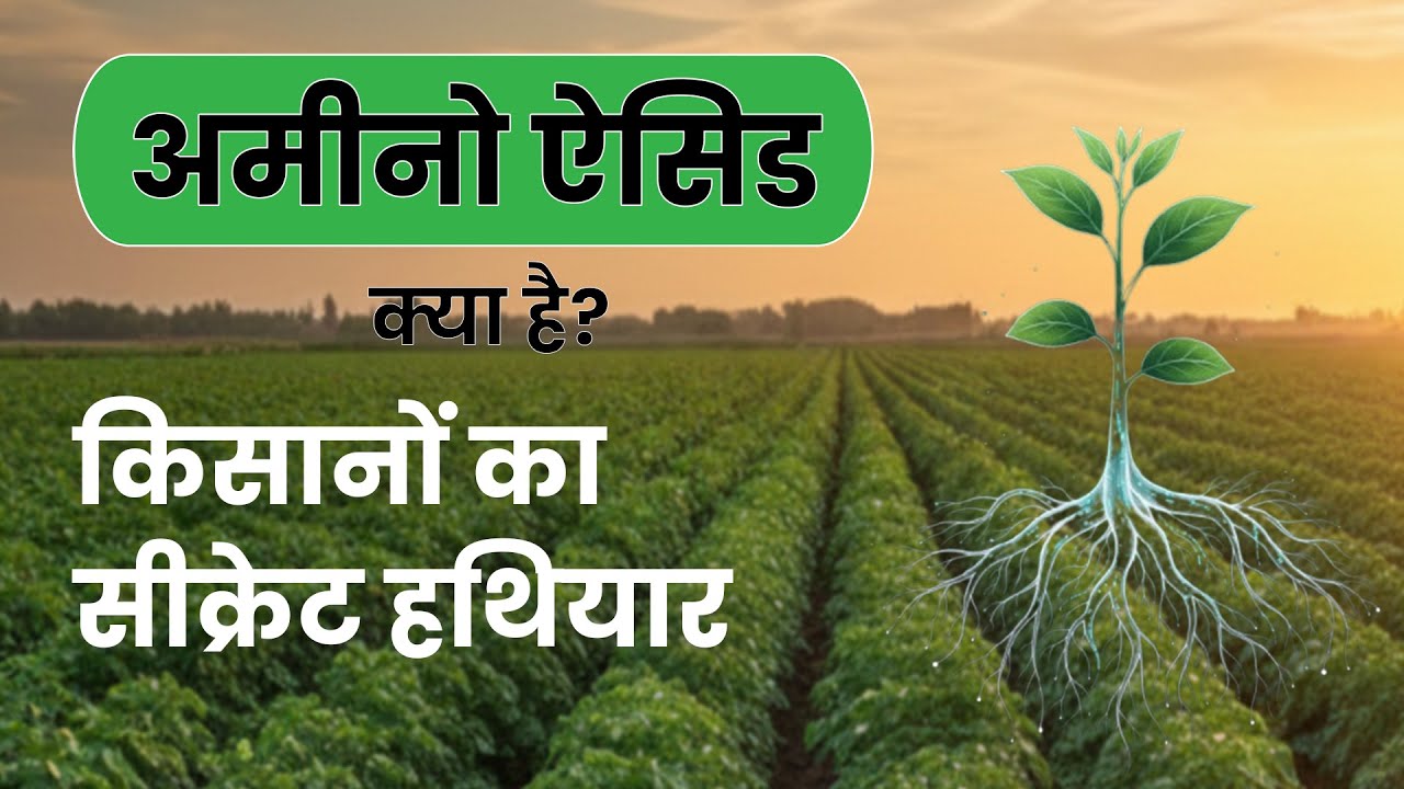हर किसान को जानना चाहिए #ऐसिड #acid #aminoacidos