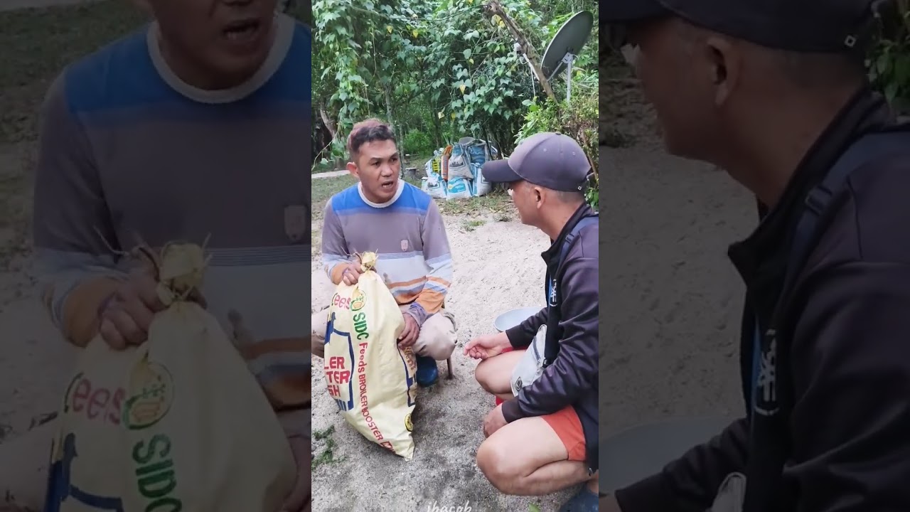 Nagbenta ng saging ayaw sa per piece gusto ay per kilo