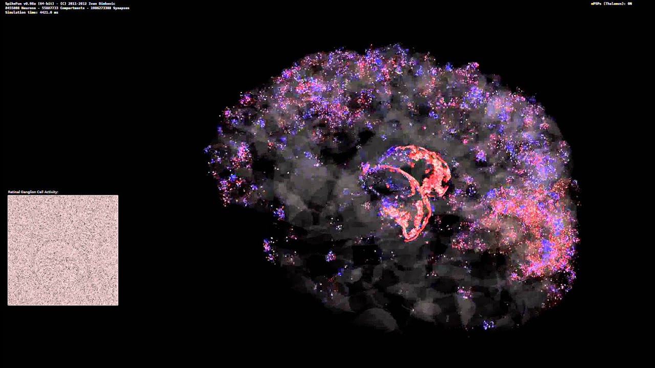 DigiCortex Artificial Brain Simulation - Retina + 8 Million Cortical Neurons / 2 Billion Synapses