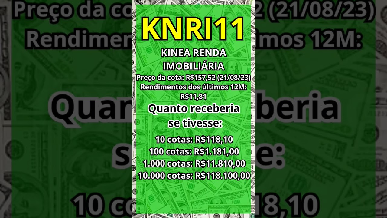 QUANTO RENDE OS DIVIDENDOS NAS COTAS DO 